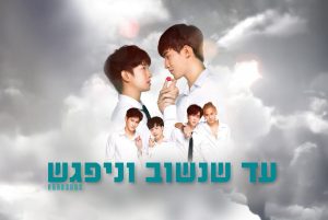 עד שנשוב וניפגש